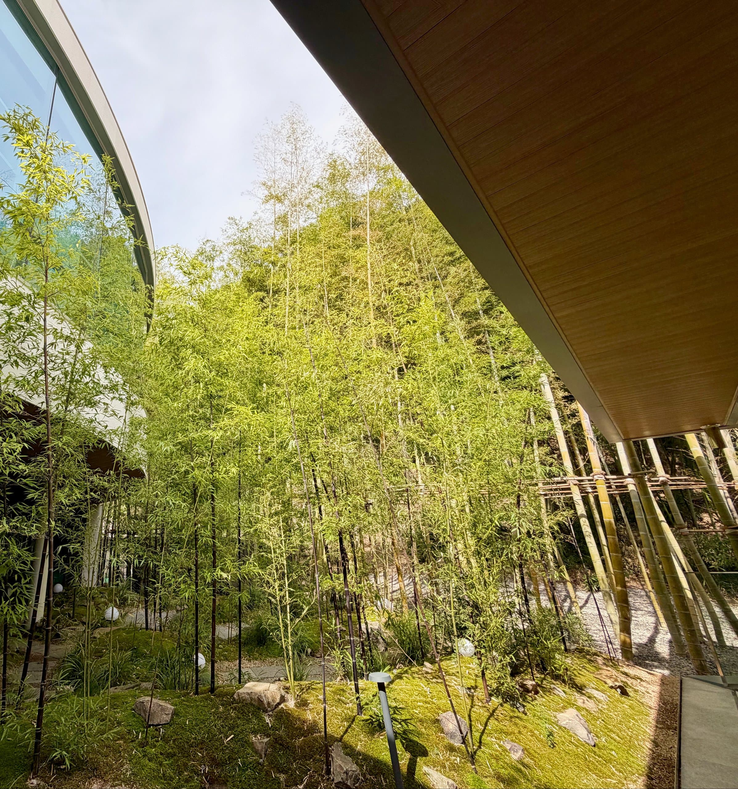 The bamboo court beneath the curved upper floor