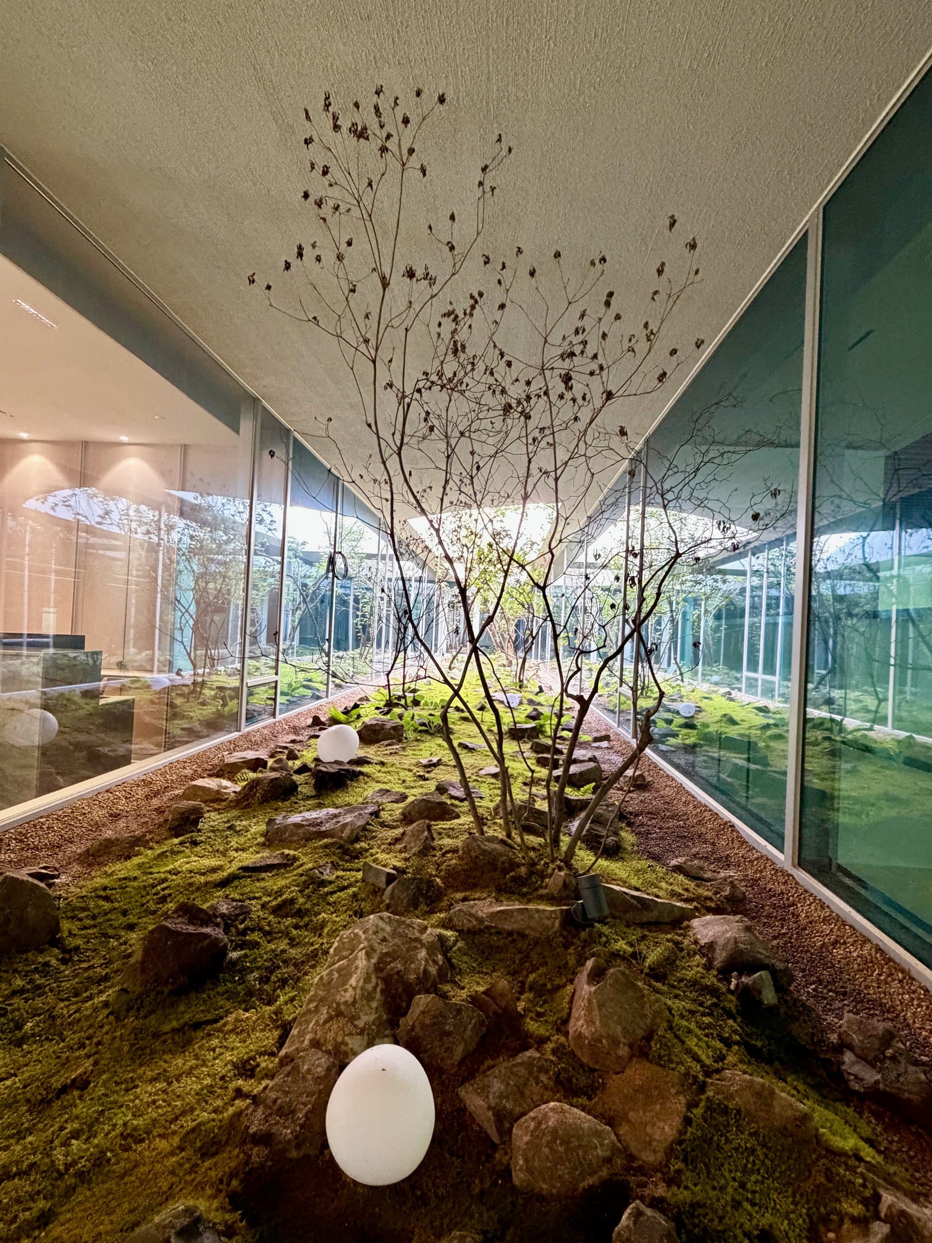 The moss garden with stone and soft garden lights
